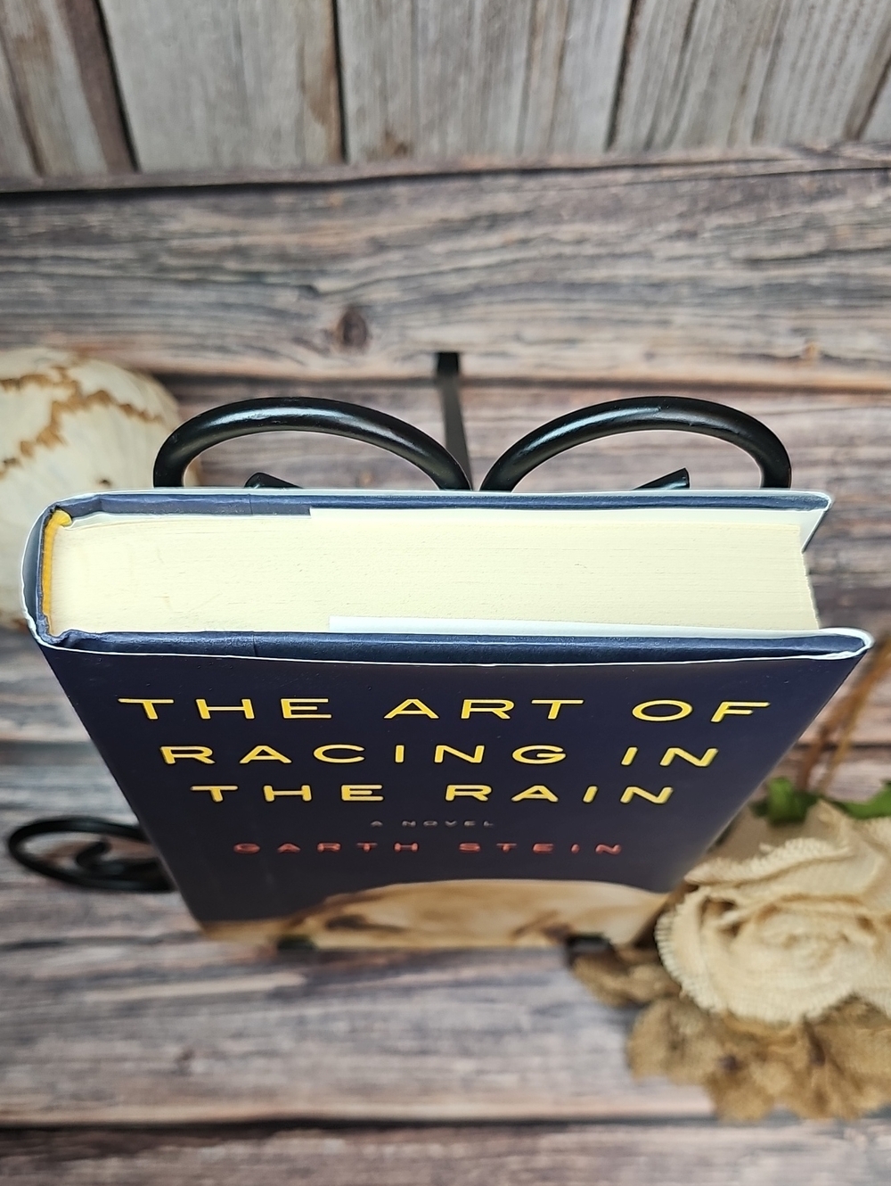 THE ART OF RACING IN THE RAIN A NOVEL BY GARTH STEIN HARDCOVER - Picture 3 of 8
